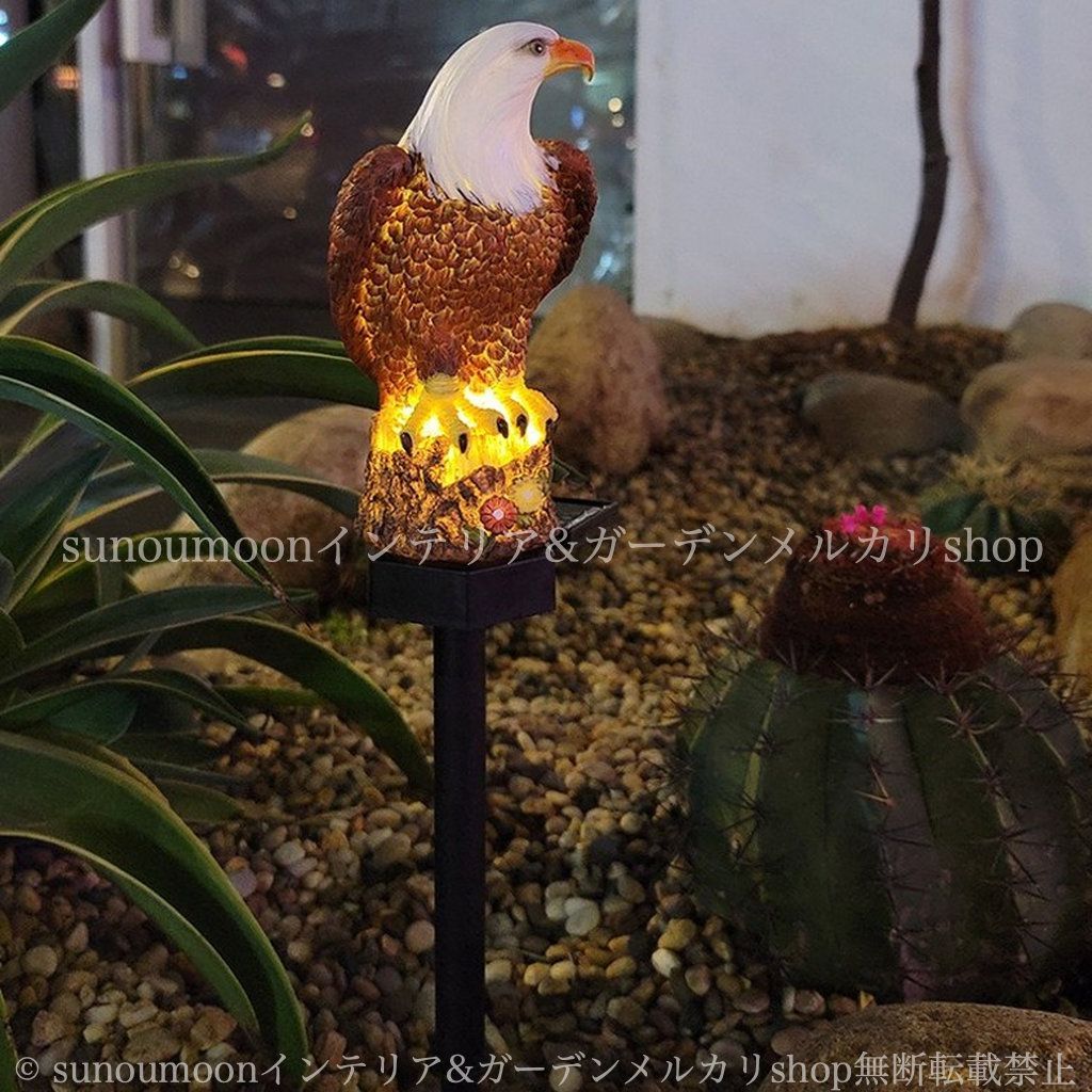 太陽光 庭の装飾