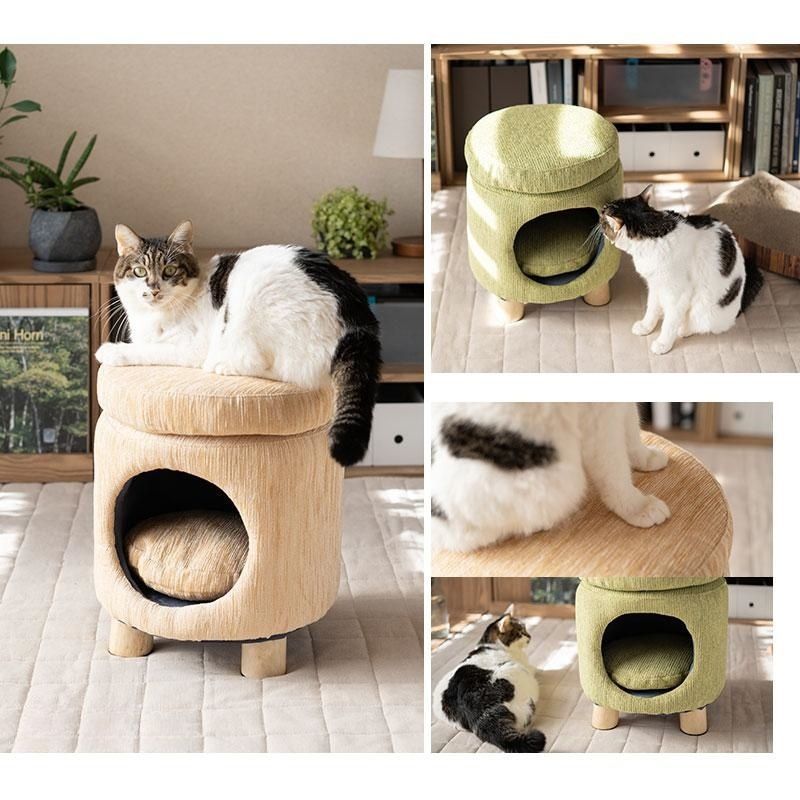 ねこ ネコ