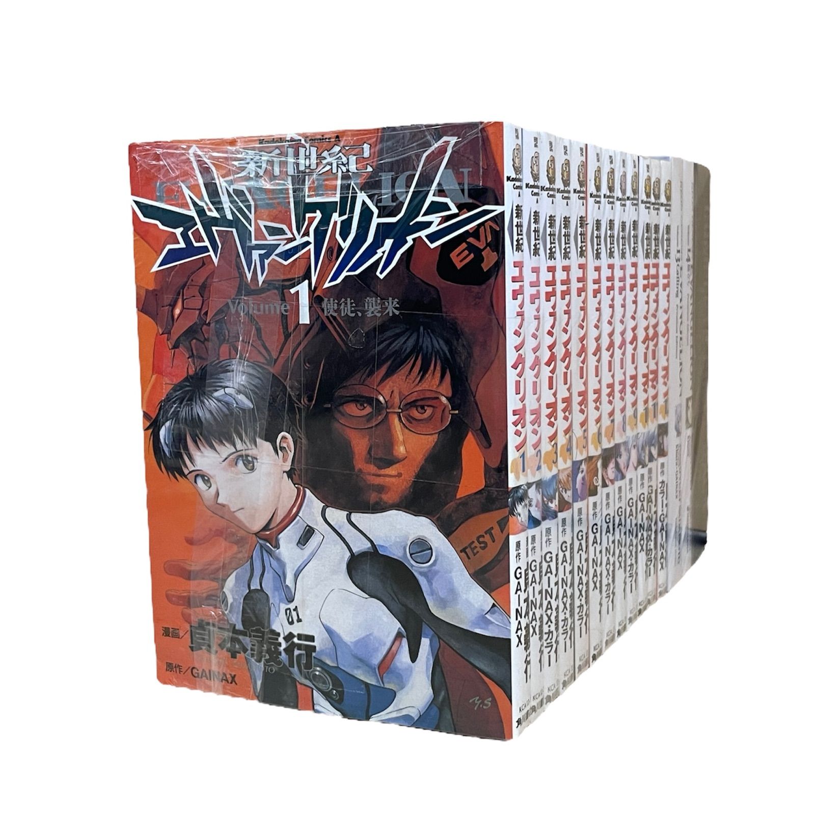 新世紀 エヴァンゲリオン 全巻 プラスいろいろ