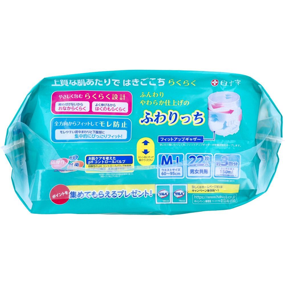 22枚入