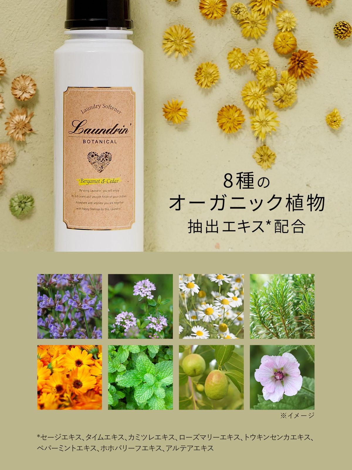 進捗 ランドリン ボタニカル 柔軟剤 特大容量 ベルガモット-シダー 詰め替え 3倍サイズ 1290ml