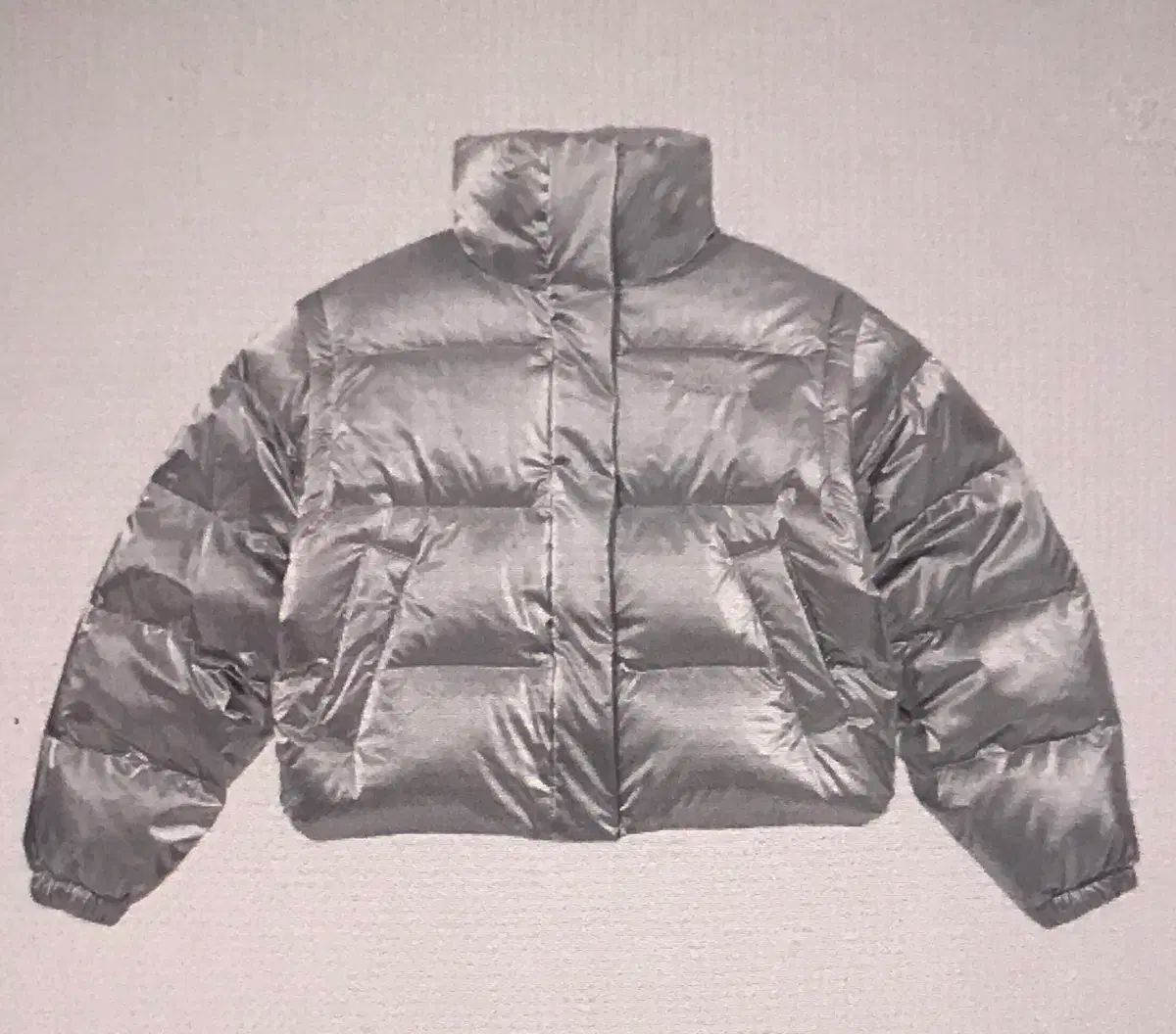 THE NORTH FACE ザノースフェイス ホワイトラベル グロシー 取り外し ダウン ジャケット シルバー 販売しています