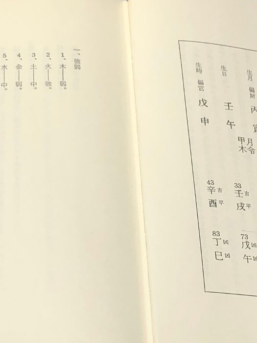 五行十干体用 子平推命実占講義-段階別による実際鑑定法のすべて