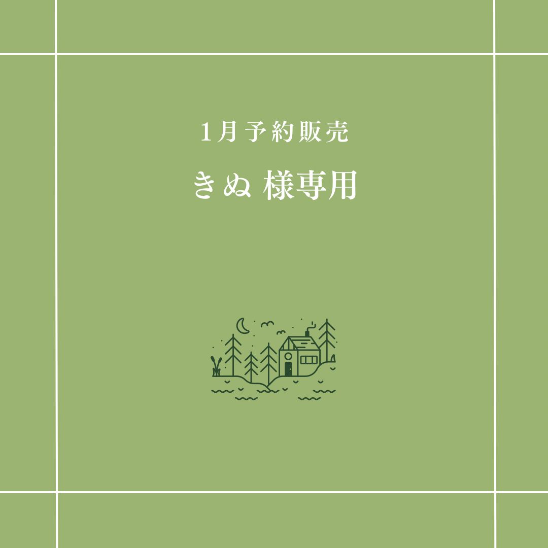 【きぬ 様専用】