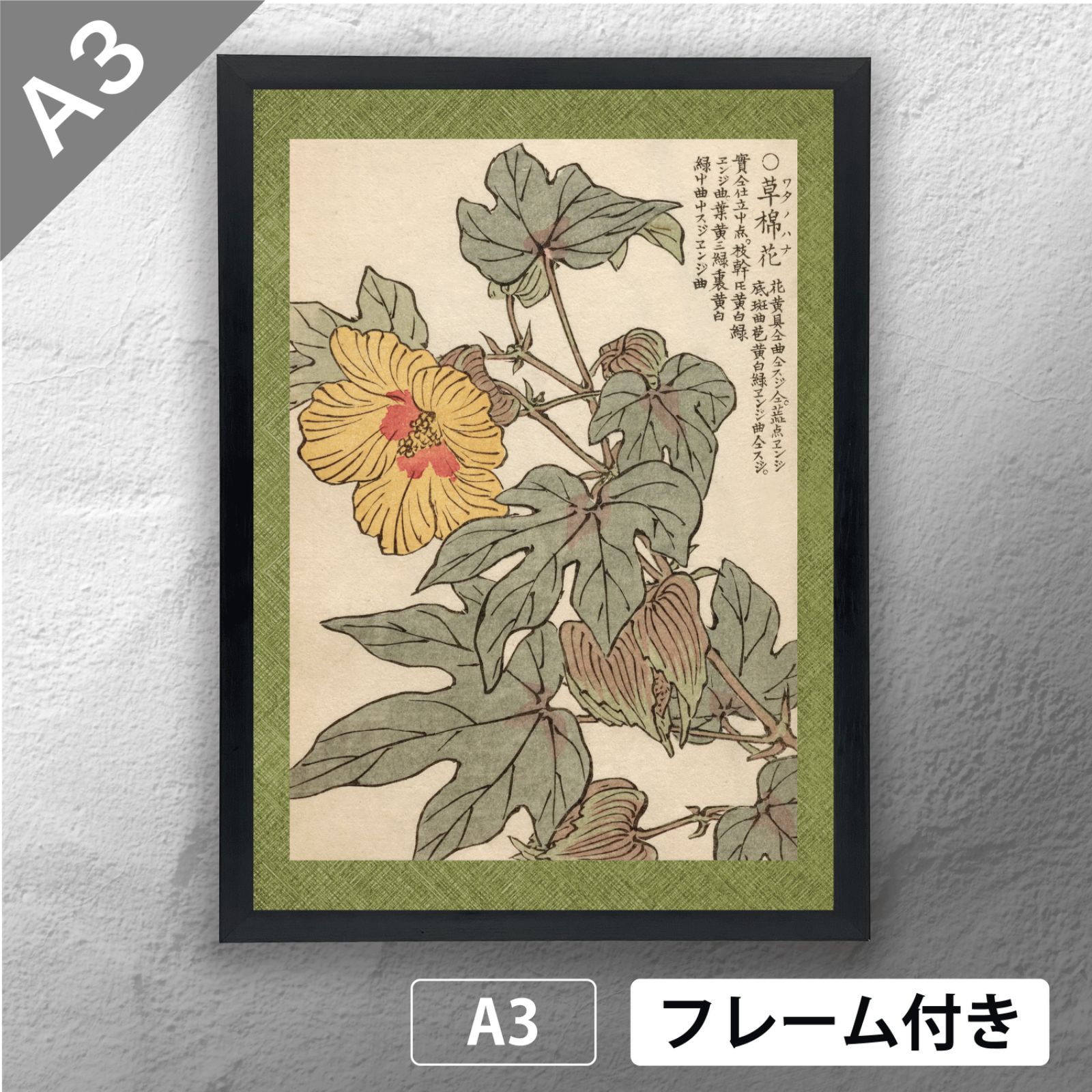 幸野楳嶺 「千種の花 ワタノハナ」 ボタニカルアート 日本画