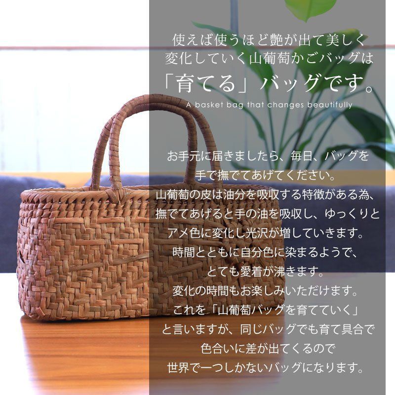 やまぶどう