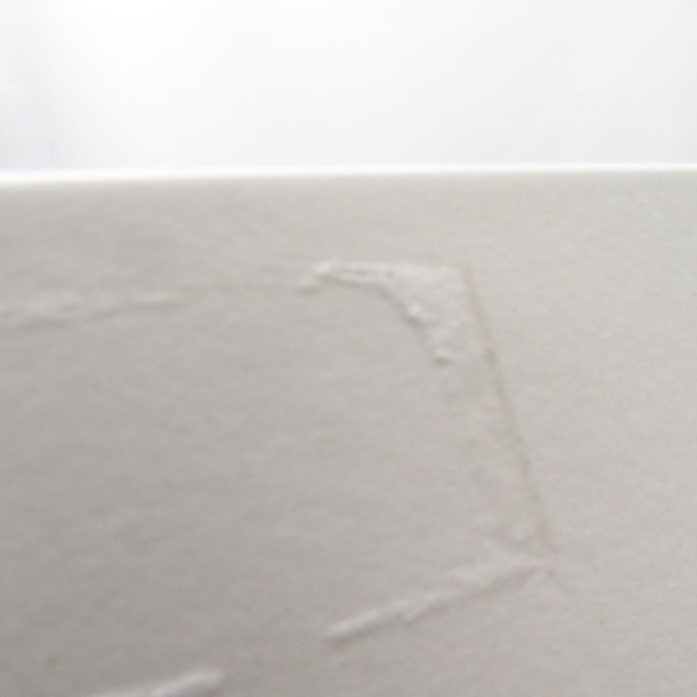 銀仕上げ SC9196F2