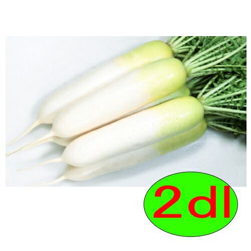 入荷次第出荷 カネコ種苗 YR寒ざくら 2ｄｌ