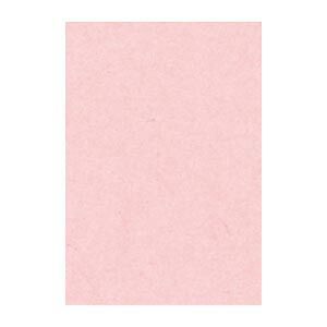 リンテック ニュー Ｒ 8 NCR 102 うすもも