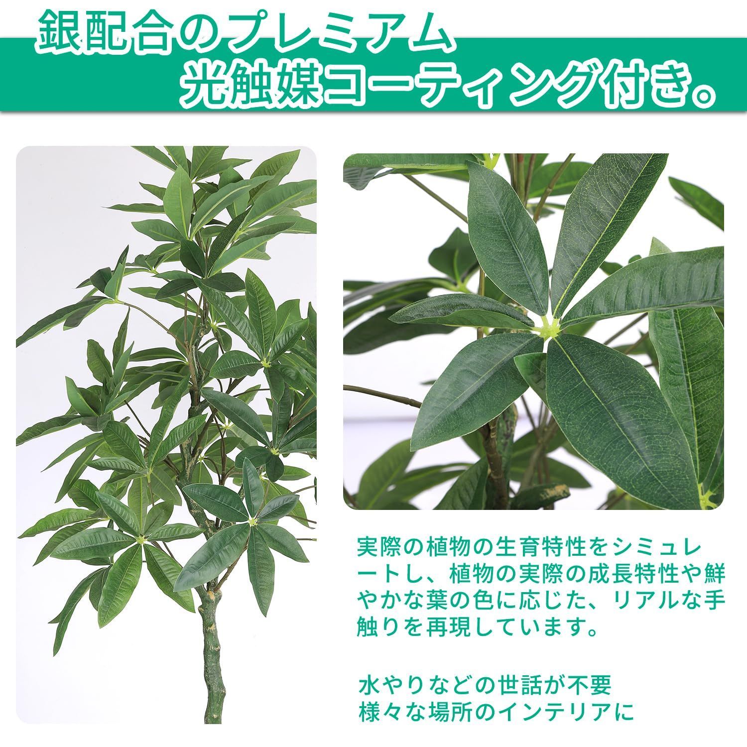 高さ150CM