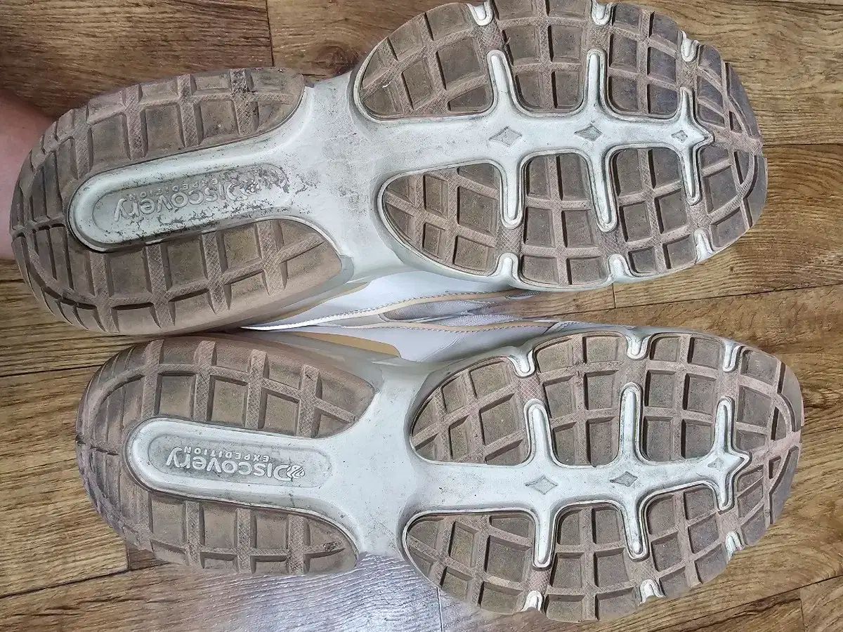 エクスペディション