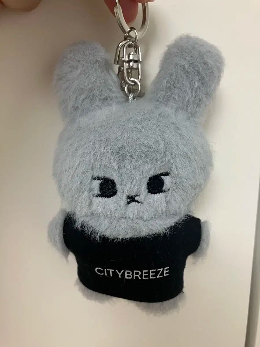 NCT ドヨン CITY BREEZE ドヨン キーリング 新品未開封 即日発送 2025年最新】citybreeze ドヨンの人気アイテム - メルカリ