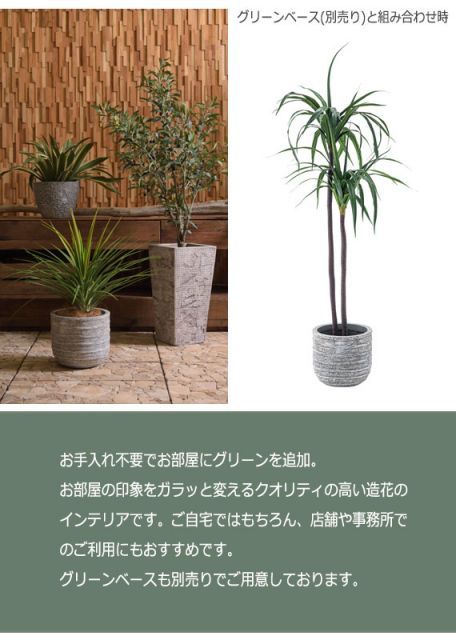 グリーンインテリア