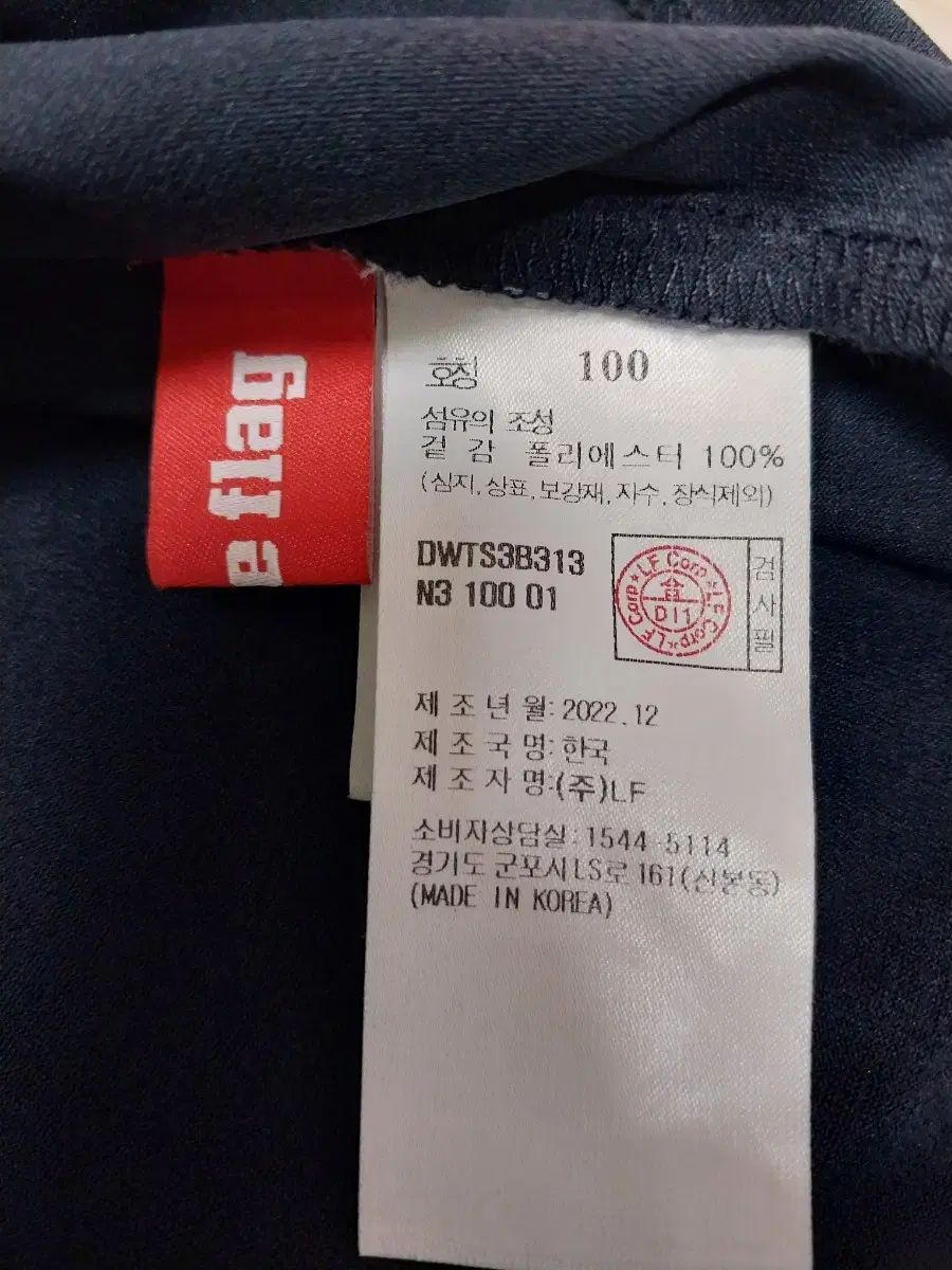 ダブルフラッグゴルフ