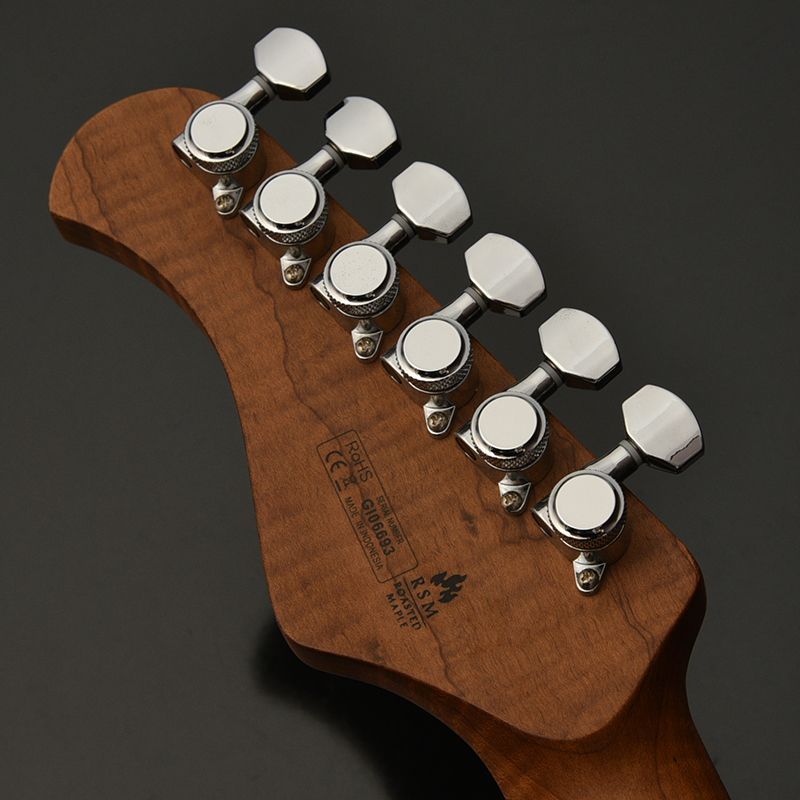 Bacchus バッカス GIN-FORCE/RSM OWH 新品 エレキギター