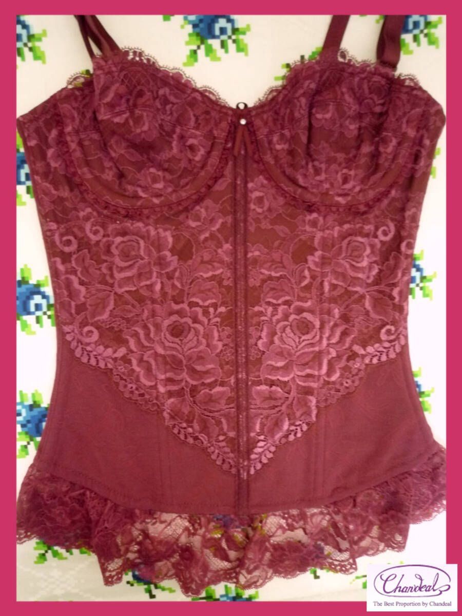 定価55000円 最高級補正下着 シャンデール スリーインワン B70 ルビー