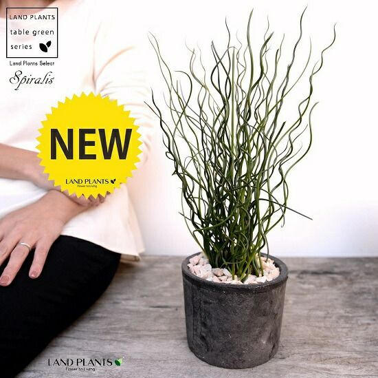 ナノアミノプレミアム エスタージュ モイスチャー1000 卸売 詰替