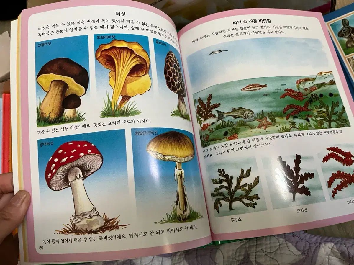 全集