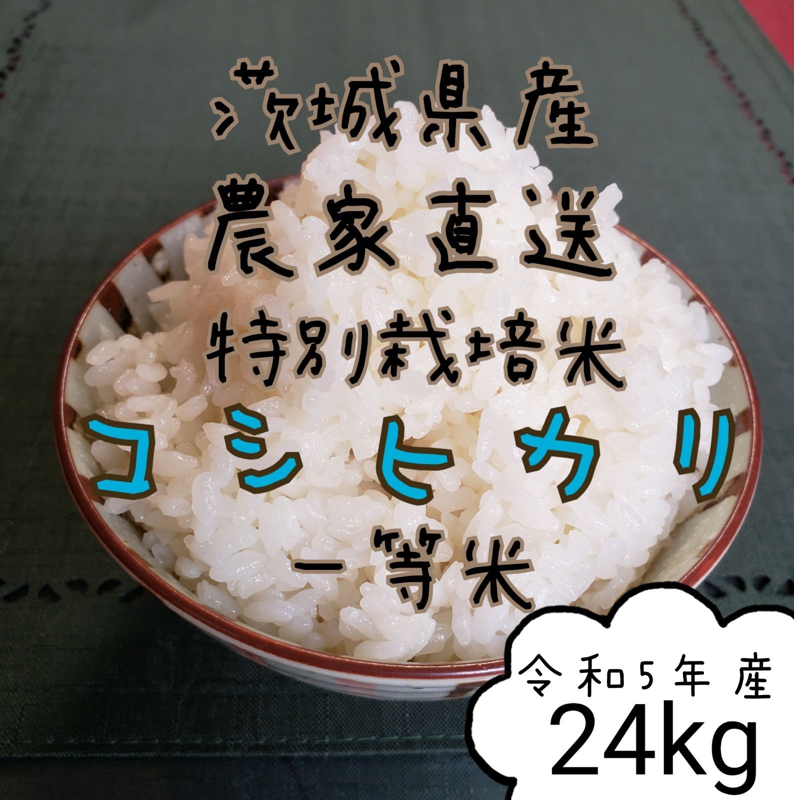 新米コシヒカリ白米24キロ　米/穀物