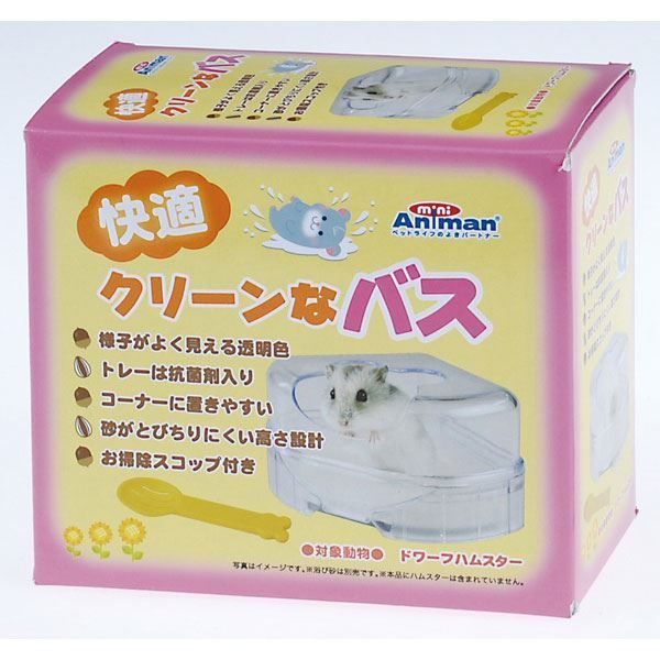 模写/月僊/昇龍図/布袋屋掛軸HF-620