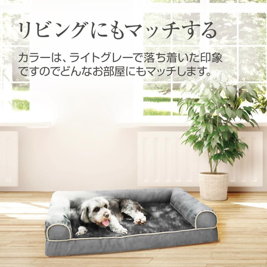 犬 猫