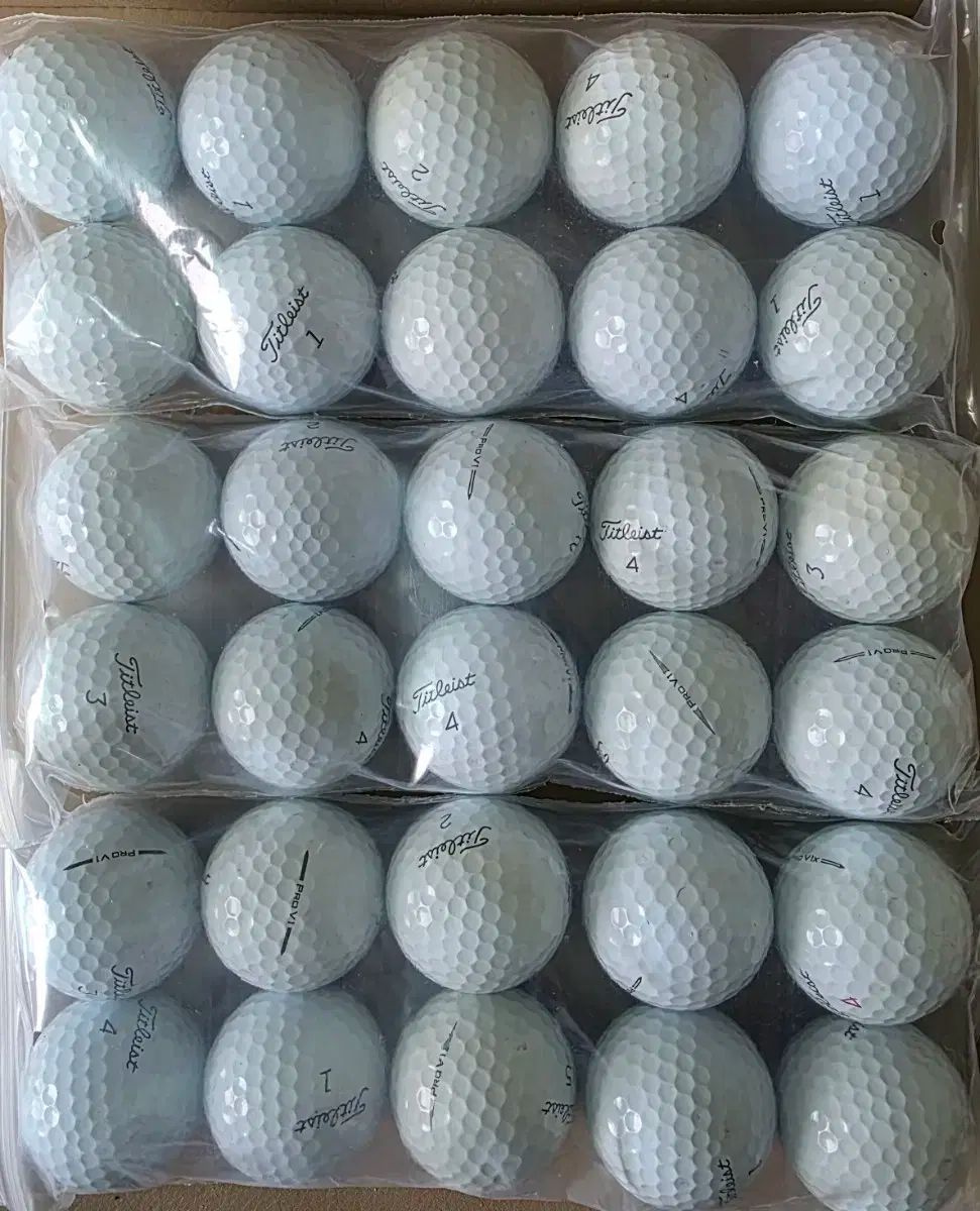 Titleist タイトリスト ProV1 prov1x ロストボール 30 犬 A ＋ WHITEMONARCHHOTEL_COM