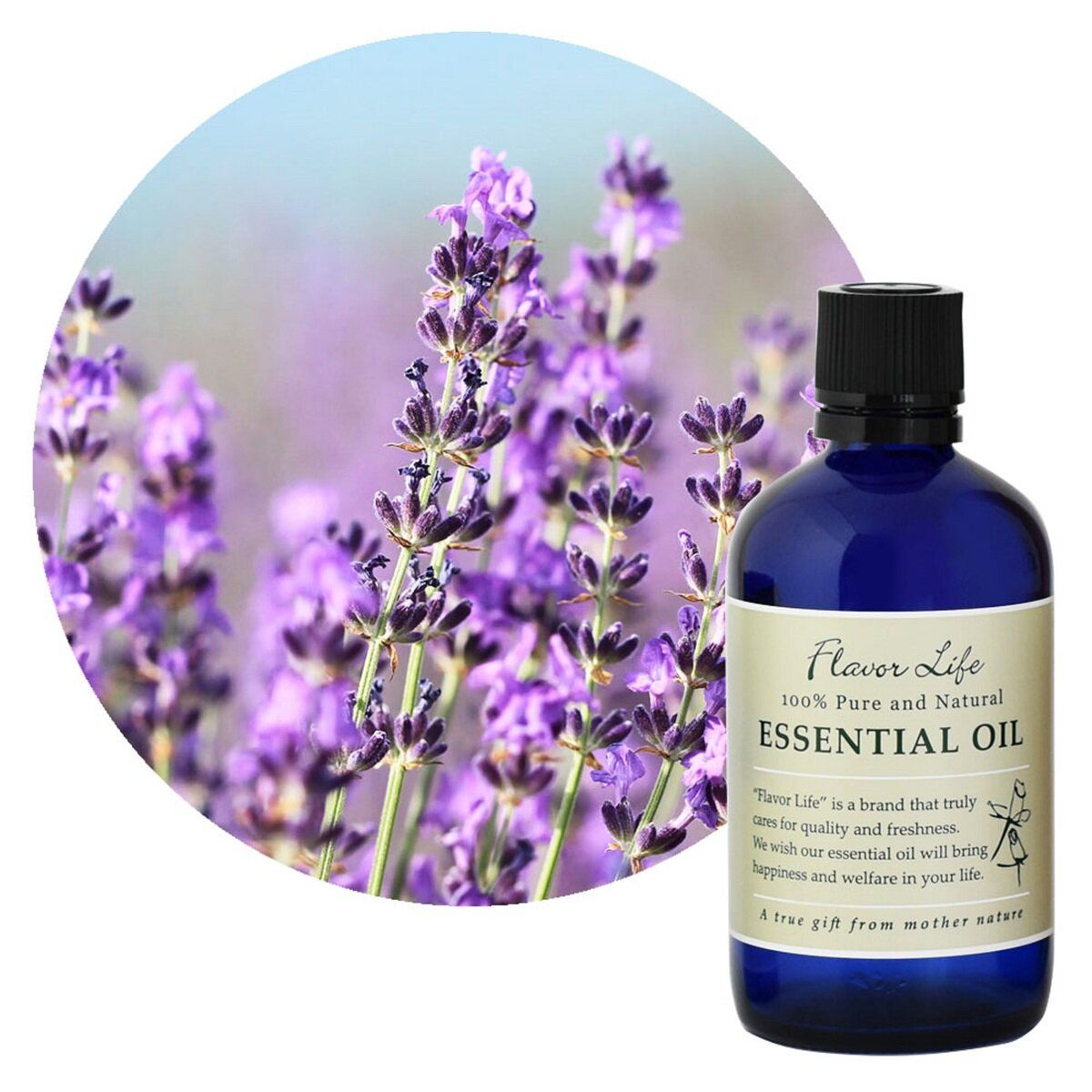 日本未発売 SPA CEYLON お香 4種類セット 日本未発売 SPA CEYLON お香