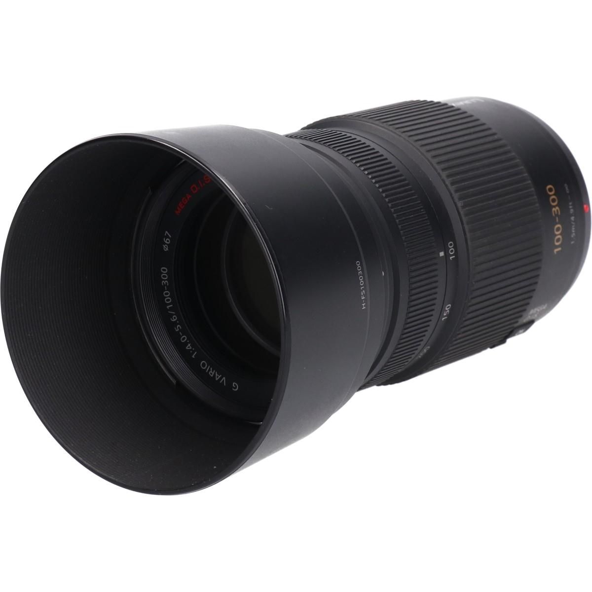  Ｇ１００ ３００ｍｍ Ｆ４ ５ ６ＭＥＧ ＯＩＳ レンズ(単焦点) カメラ