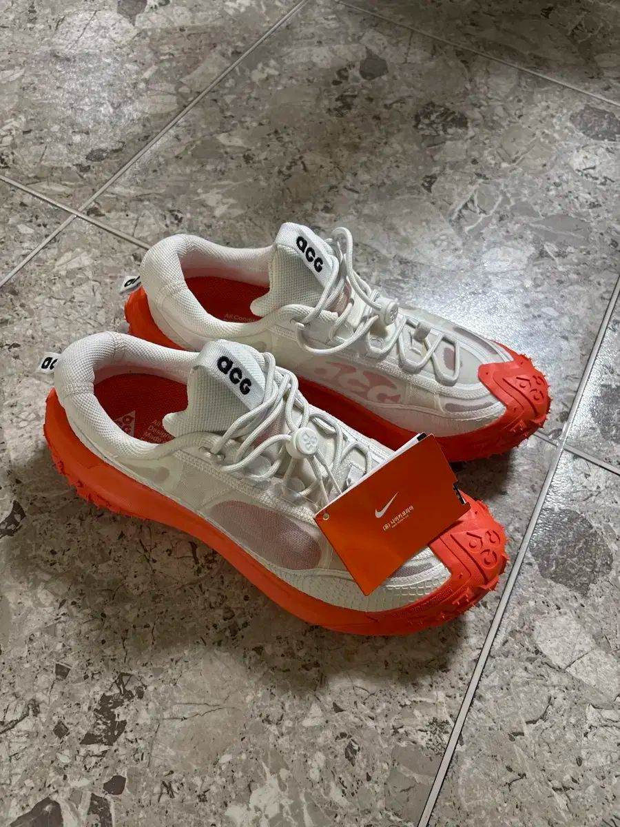 NIKE ナイキ ACG マウンテン フライ 2 ロー 275