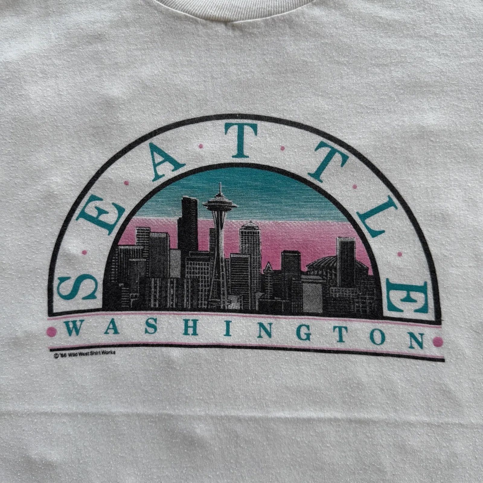 80s 90s アメリカ シアトル ワシントンD.C. USA製 スーバニアTシャツ 
