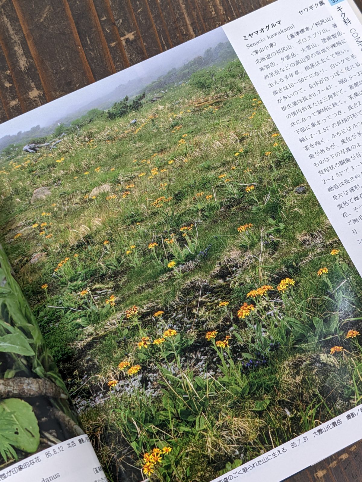 山渓カラー名鑑 日本の高山植物 6rm_c0_35 - メルカリ