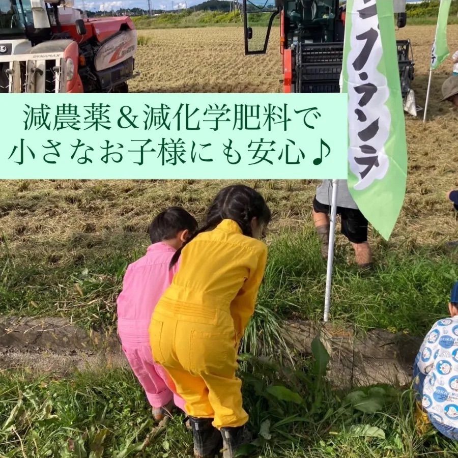 減農薬 ひとめぼれ＆ささ結５ｋｇずつの食べ比べセット