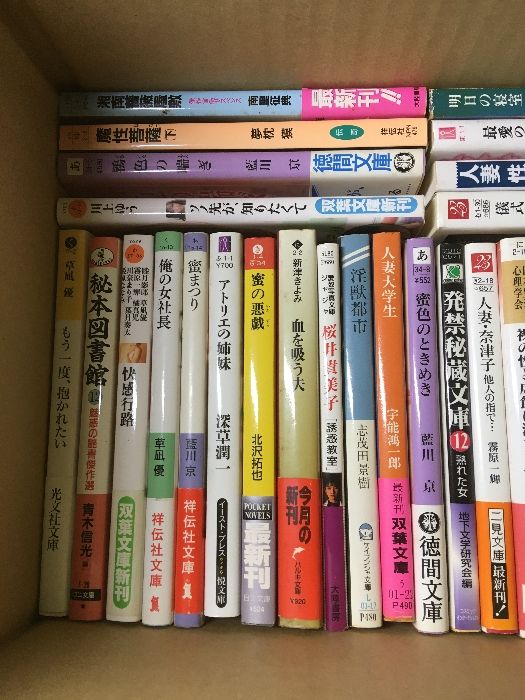 官能小説まとめ売り　計８５冊 官能小説まとめ売り 計85冊 官能小説まとめ売り 計85冊 官能小説