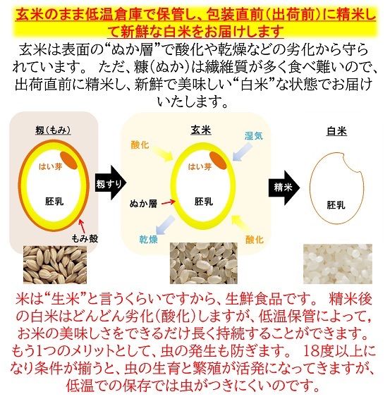 訳あり 減農薬 新潟こしひかり米粉900g 令和6年産 新潟県三条市