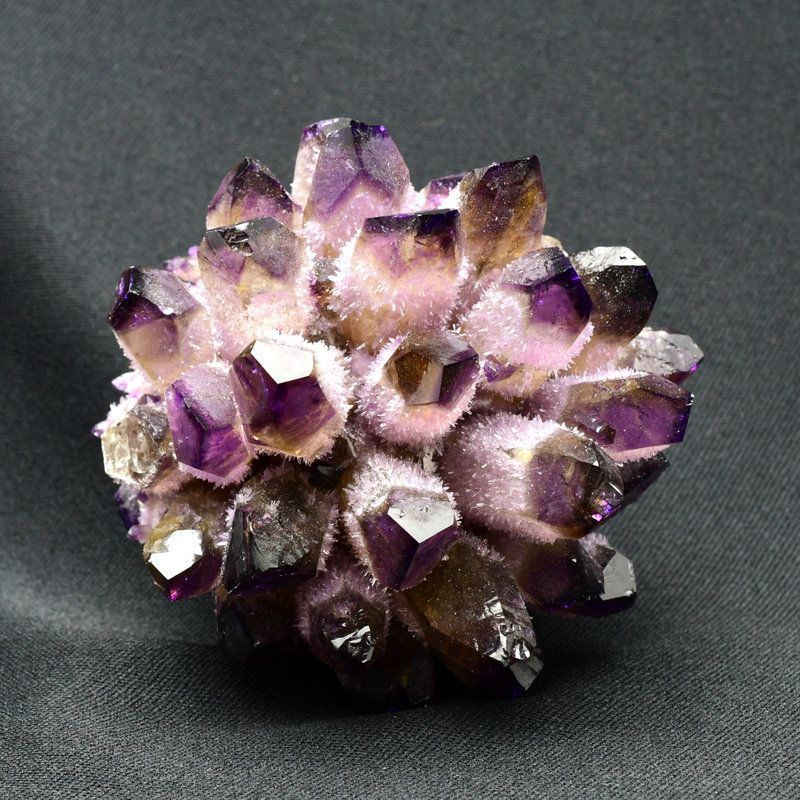 贈り物にも最適サイズ ギフト