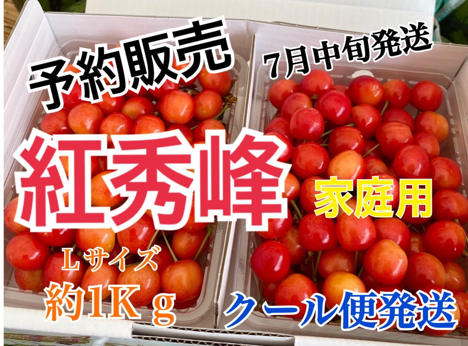 ➀ 北海道産 さくらんぼ 佐藤錦 紅秀峰 南陽 香夏錦 正光錦 サミット