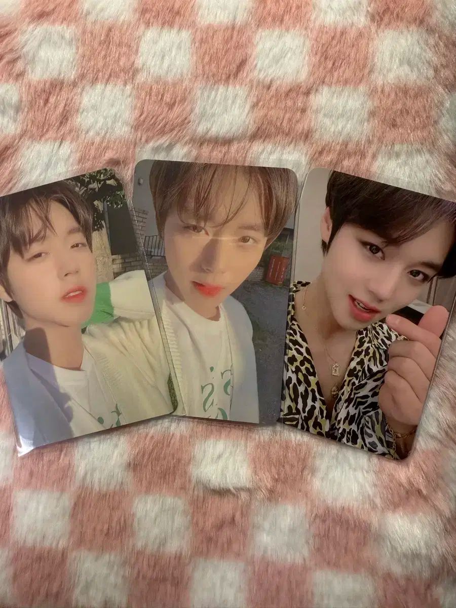 パクジフン May I Love you? センパ トレカ パク・ジフン(PARK JIHOON) may i love you トレカ まとめ売り