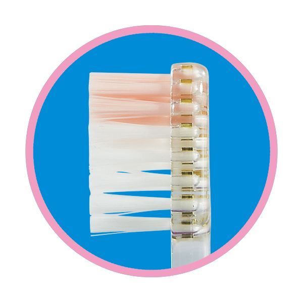 ハブラシ ふつう