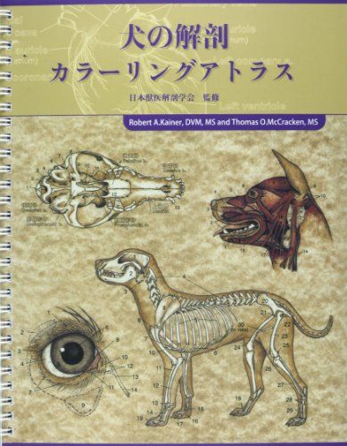 犬の解剖 カラーリングアトラス カラーアトラス 獣医解剖学 上下巻 犬の解剖カラーリングアトラス／日本獣医解剖学会 - メルカリ