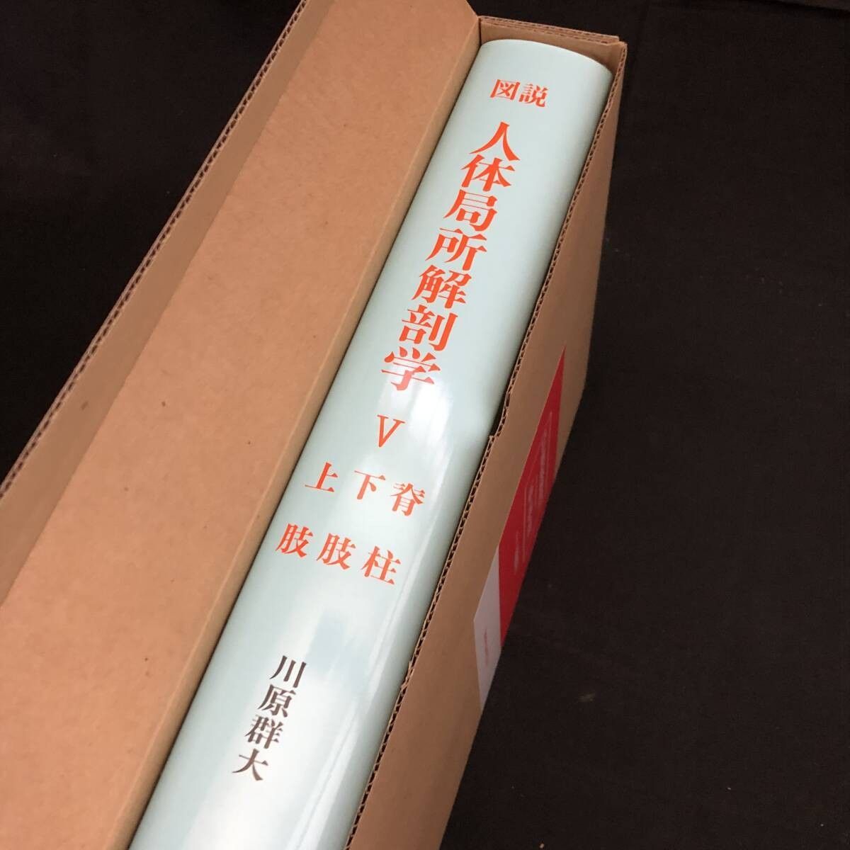 図説 人体局所解剖学 頭部/胸部/ 頸部/腹部/上肢・下肢・脊柱 全5巻6 