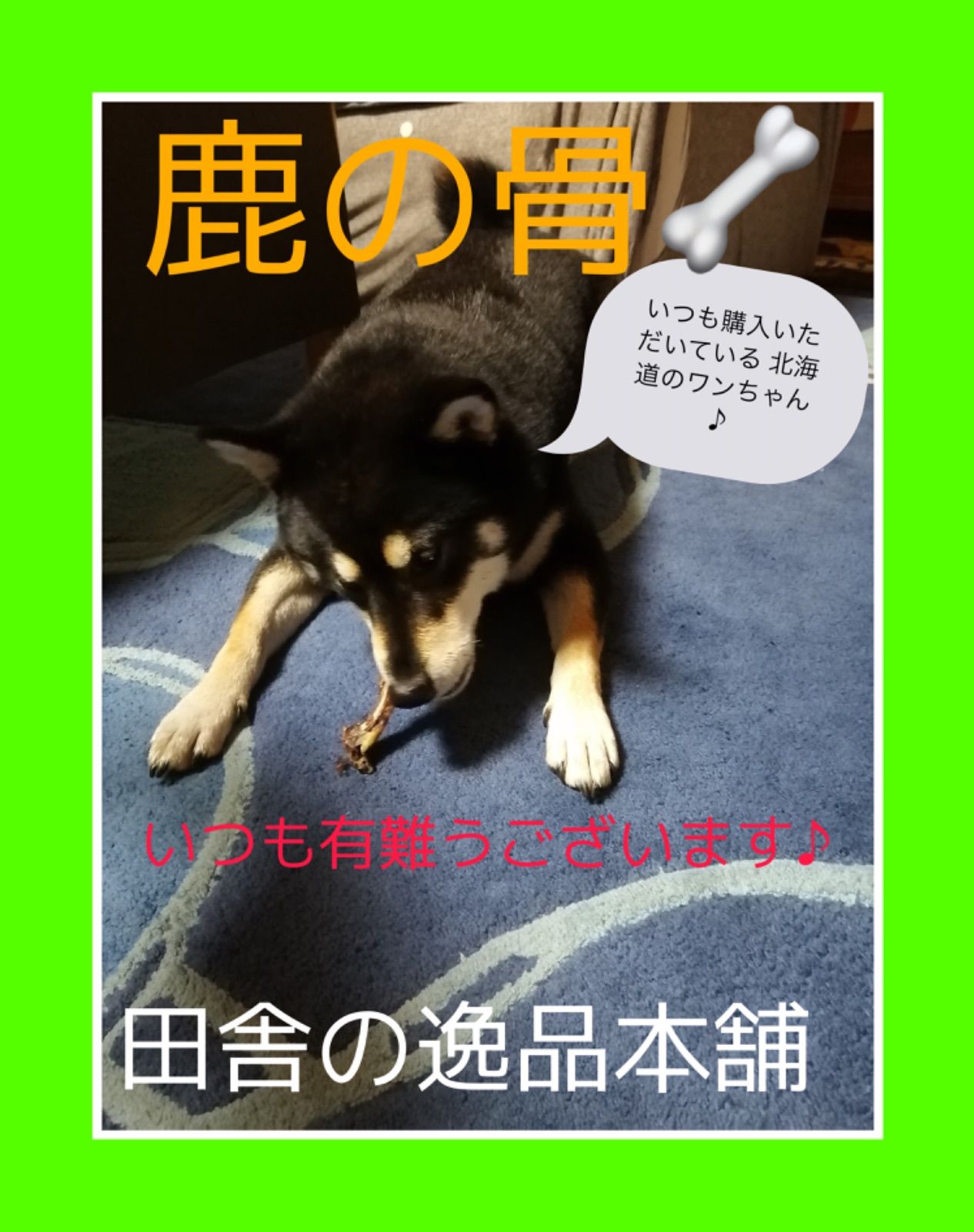 鹿の骨 ゲンコツ 2本150g以上 ストレス発散！ 歯磨き効果やおもちゃとして♪ - メルカリ