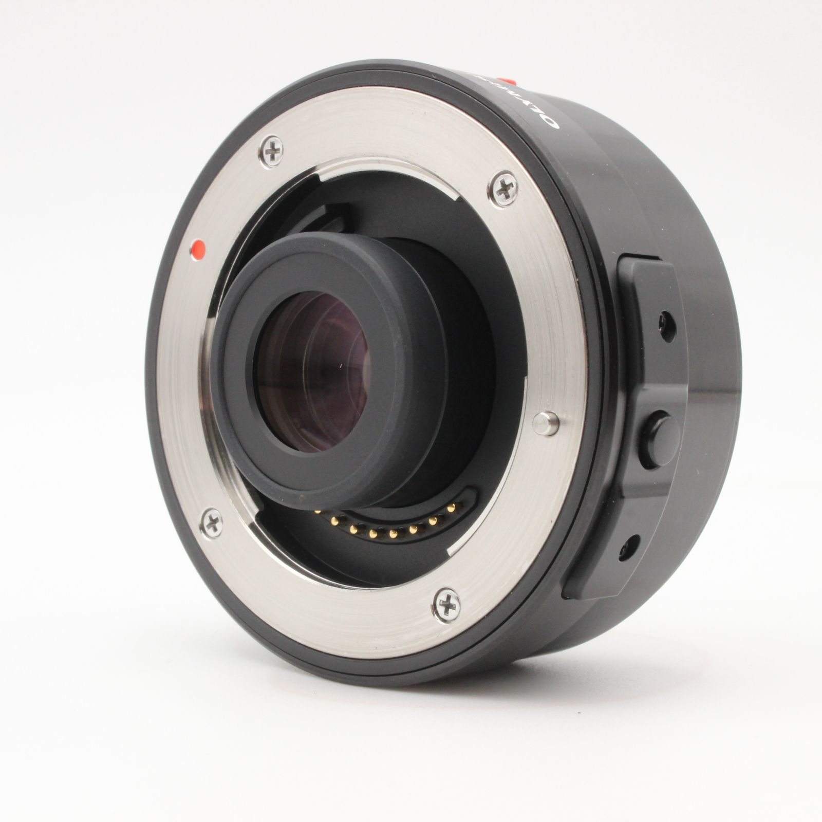 Canon 望遠ズームレンズ EF70-300mm F4-5.6 IS II（Canon 望遠