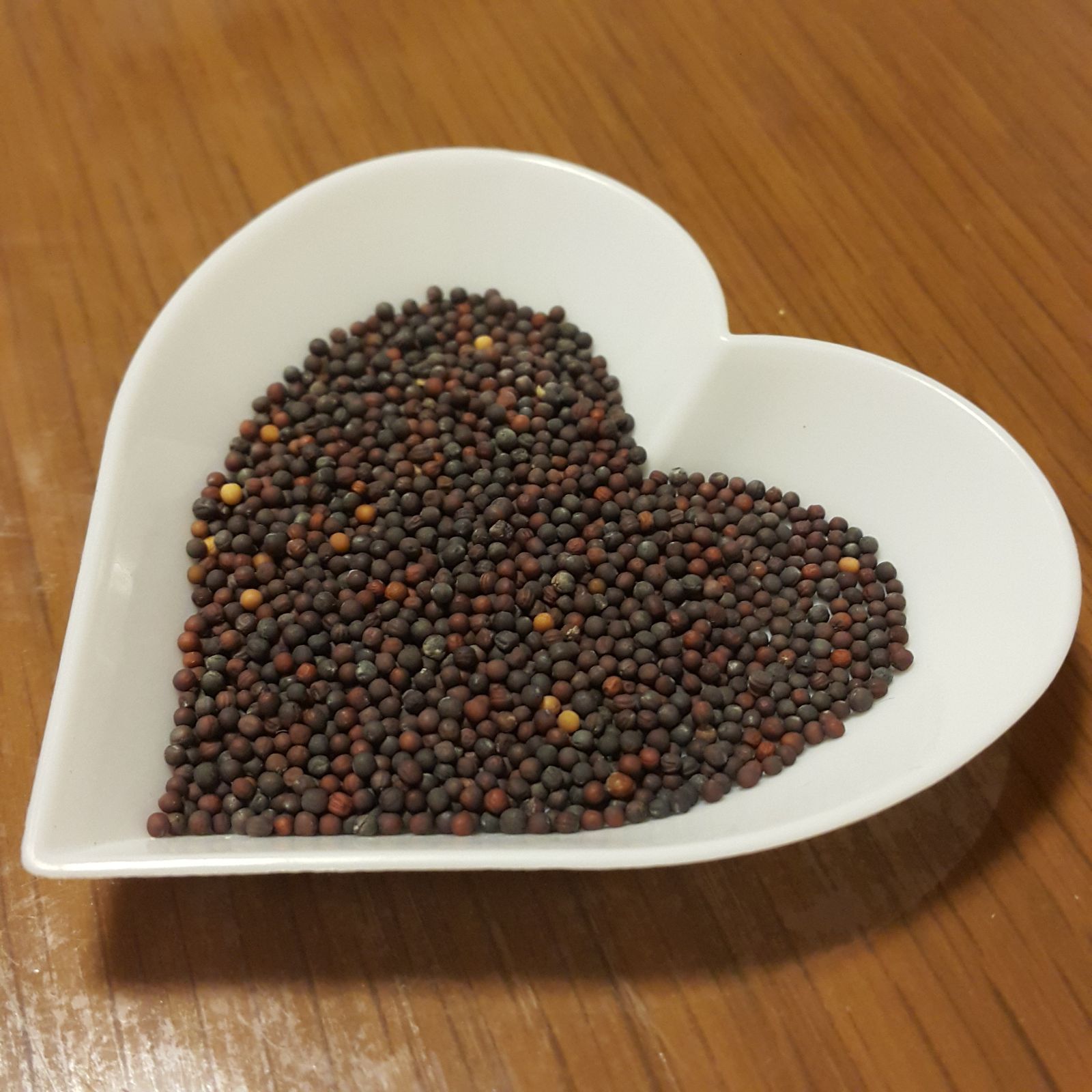 カリボスキャベツの種(固定種・Kalibos cabbage) - メルカリ