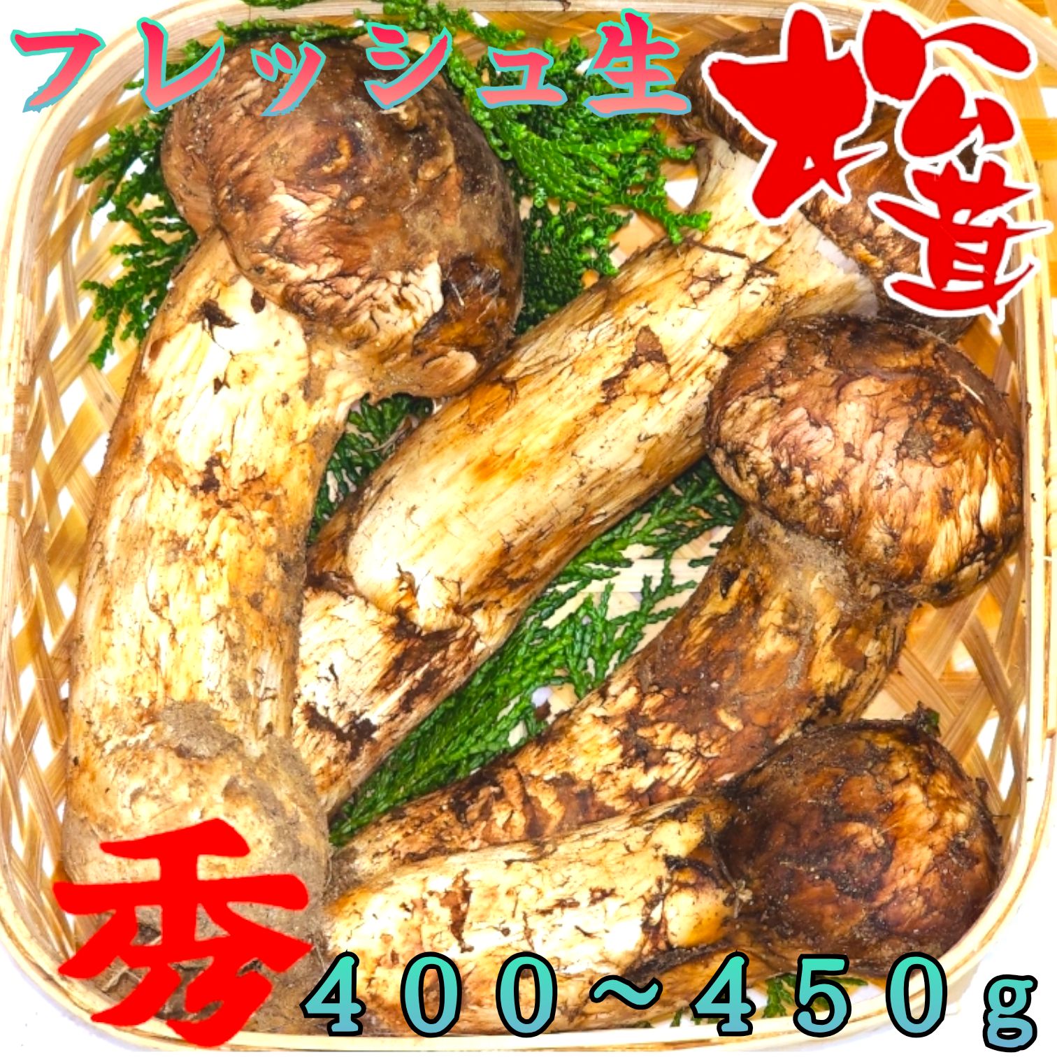 中国産 【天然 つぼみ 中腕 松茸 400~450g】3L~2L 3~7本-