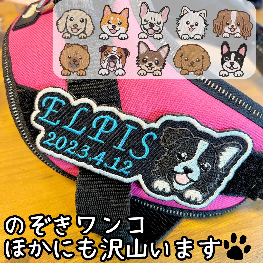 ユリウス k9 のぞきワンコ 刺繍ワッペン ネームラベル ネームタグ