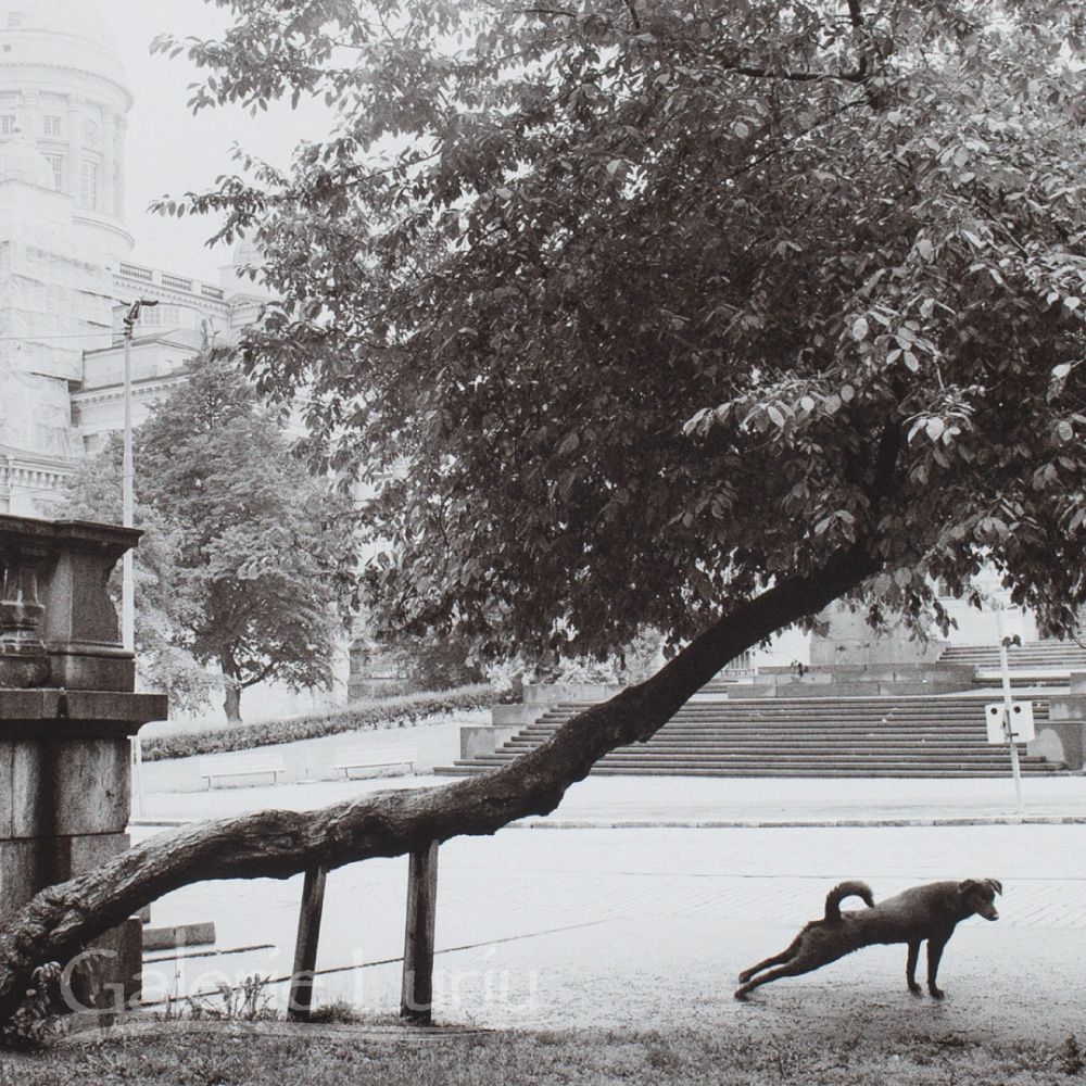 ペンティ・サマラッティ (Pentti Sammallahti) 「Helsinki Suomi