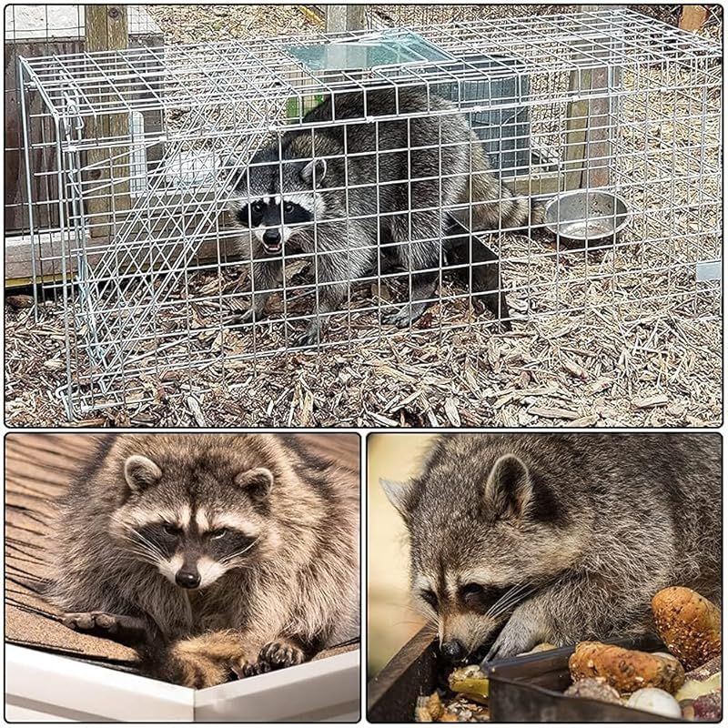 捕獲器 : 踏み板式 動物用 Vtuesxn 猫 猫の保護器 野良猫 アニマルトラップ 安全 猫の保護器（ 畑 檻 動物捕獲器 猫用 61x20x19cm