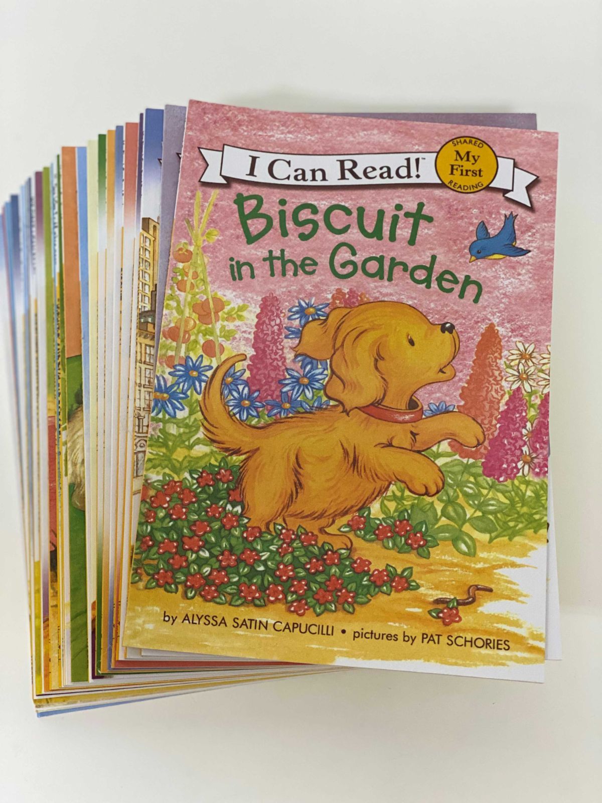 新品】ビスケット シリーズ英語絵本24冊 I can read My First biscuit 