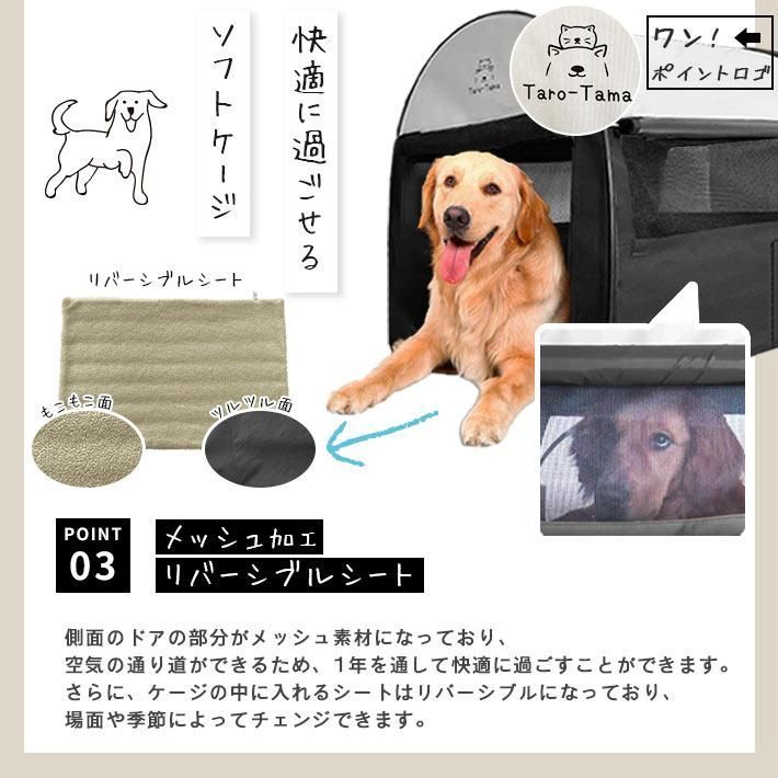 中型犬 小型犬