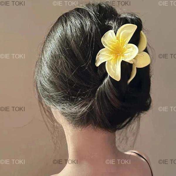 ヘアクリップ スモールサイズ Amazon.co.jp: Rikomi ダッカール ミニ ヘアクリップ くちばし
